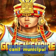 canil municipal porto alegre